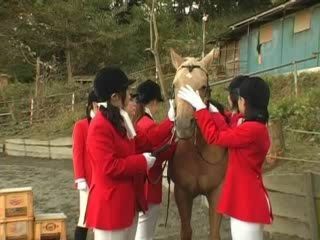 Fucking Nippon Flesh - Japanese Porn Tube